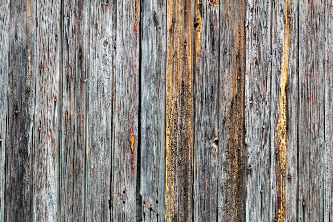 Deciding on the Fence: Struggling with Indecision